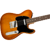 Fender AMERICAN PERFORMER TELECASTER® Honey Burst