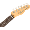 Fender AMERICAN PERFORMER TELECASTER® Honey Burst