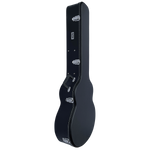 DCM WAB1  Acoustic Bass  Wood Case