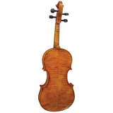 Hidersine Reserve WV400 4/4 Violin  Outfit Inc. Setup.