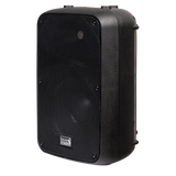 Italian Stage SPX10AUB 10" bi-active two way speaker with Media Player