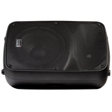 Italian Stage SPX12AUB 12" bi-active two way speaker with Media Player