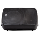 Italian Stage SPX15AUB 15" bi-active two way speaker with Media Player