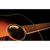 LR Baggs ANTH Anthem Acoustic Guitar Split Saddle Pickup System with Element & Microphone