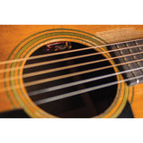 LR Baggs LYRIC-C Classical Microphone Guitar System