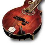 LR Baggs RADM Radius Mandolin Pickup w/ JACK