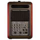LR Baggs Synapse Personal PA System
