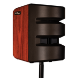 LR Baggs Synapse Personal PA System