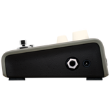 LR Baggs VOICEPRINTDI Guitar Pedal Voiceprint DI