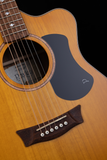 Pratley Premier Series OM Cutaway Model Maple B/S Fig Top