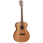 Tanglewood TW2E Winterleaf Orchestra with Case