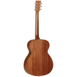 Tanglewood TW2E Winterleaf Orchestra with Case
