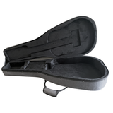 Tanglewood 40OANE  Sundance Historic Orchestra with Case