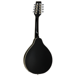 Union Series Mandolin Black With Pickup