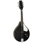 Union Series Mandolin Black With Pickup