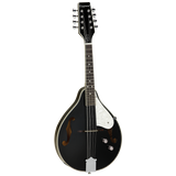 Union Series Mandolin Black With Pickup