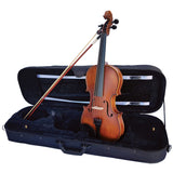 Vivo Elite 4/4 Violin Outfit