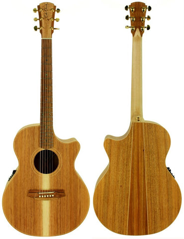 Cole Clark Grand Auditorium AN2EC-BLBL