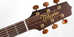 Takamine Pro Series 3 Orchestral AC/EL Guitar with Cutaway in Natural Satin Finish