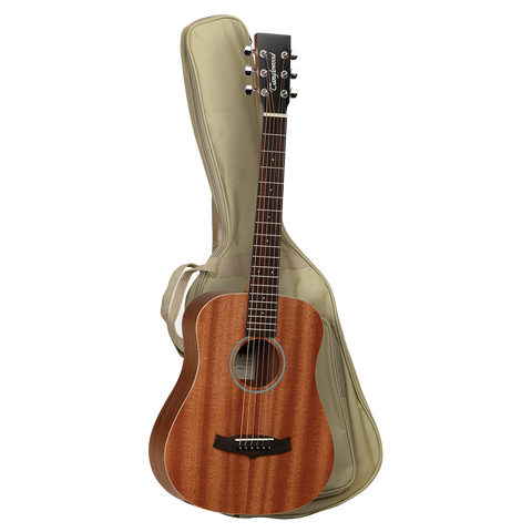 Tanglewood TW2T Winterleaf Traveller Mahogany w/ bag