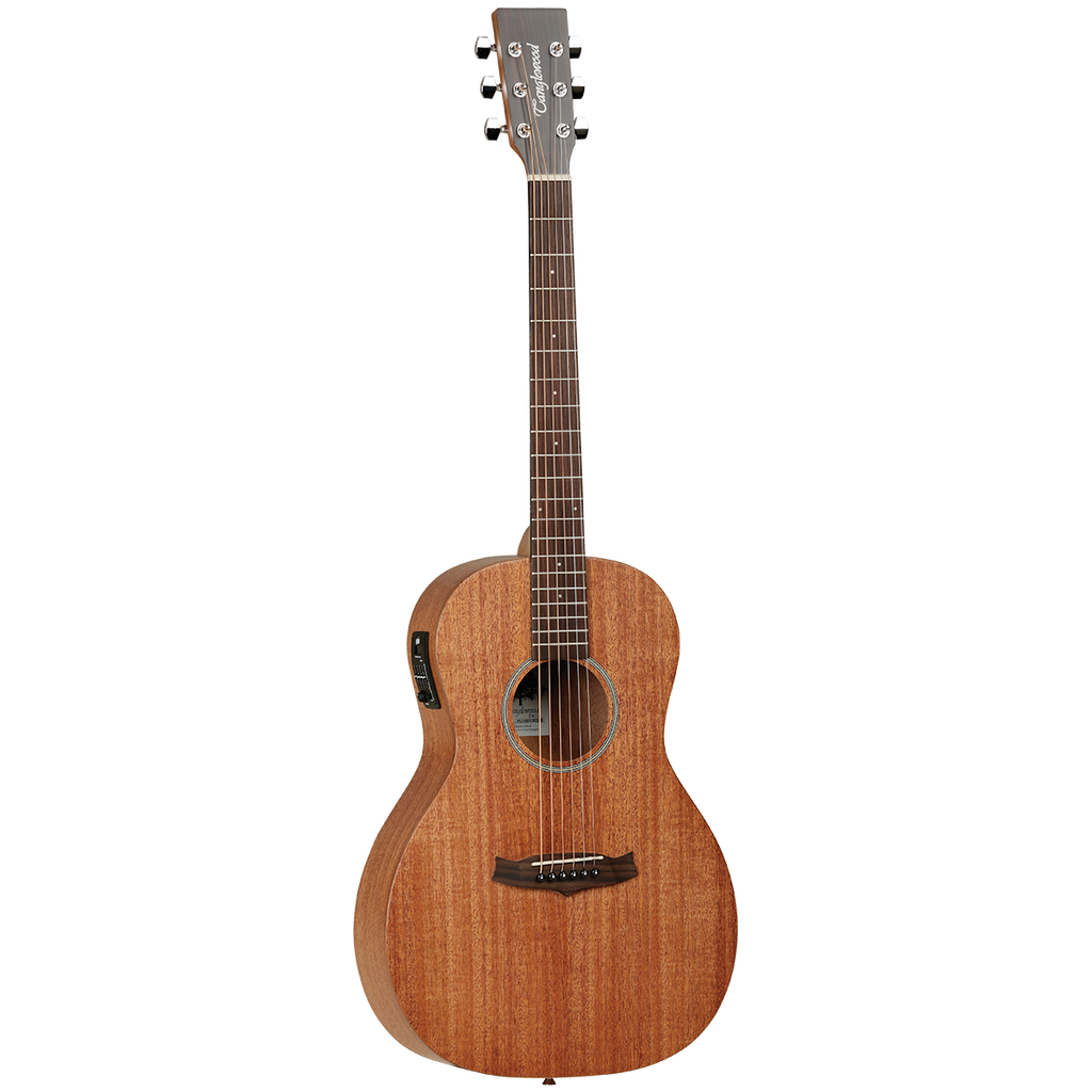 Tanglewood TW3E Winterleaf Parlour Mahoghany with Case All Music