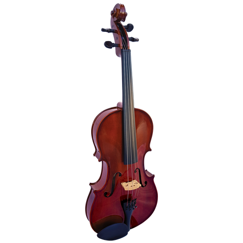 Vivo Elite 16" Viola Outfit