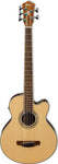 IBANEZ AEB105E NT ACOUSTIC BASS GUITAR 5 STRING
