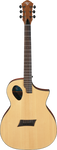Michael Kelly Forte Port Acoustic Electric Cutaway