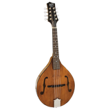 BARNES & MULLINS BM600E WIMBORNE MANDOLIN WITH PICKUP