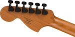 Fender CONTEMPORARY STRATOCASTER® SPECIAL
